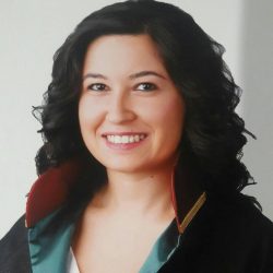 alev-ozcan alev-ozcan